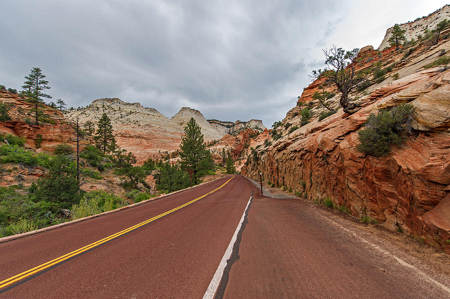 Zion National Park #30 Photograph by Willie Harper
