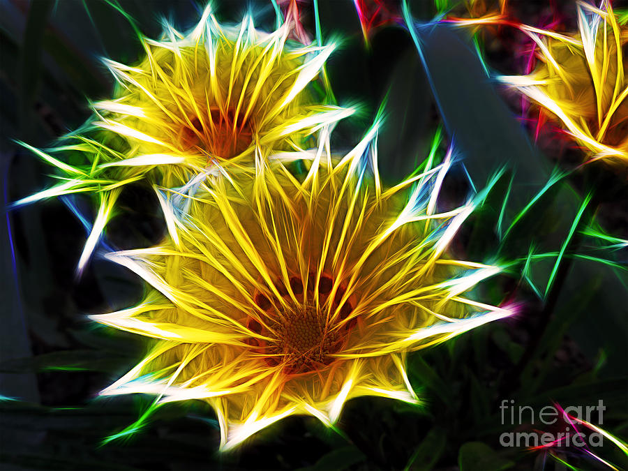 Flower Photograph - 3033-fractal Gazanias by Elvira Ladocki