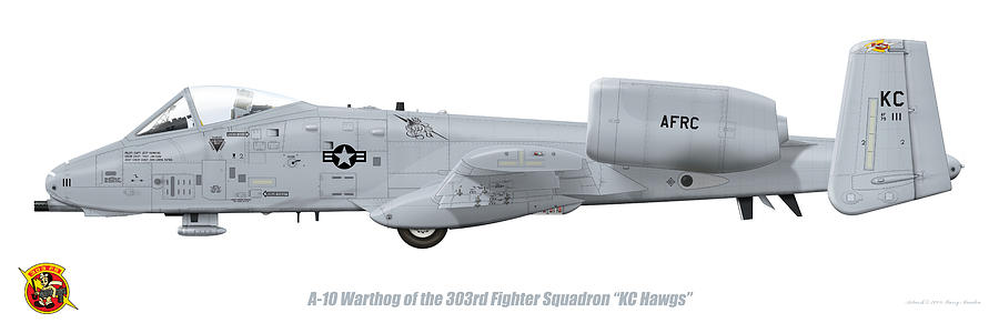 Jet Digital Art - 303rd FS A-10 Warthog by Barry Munden