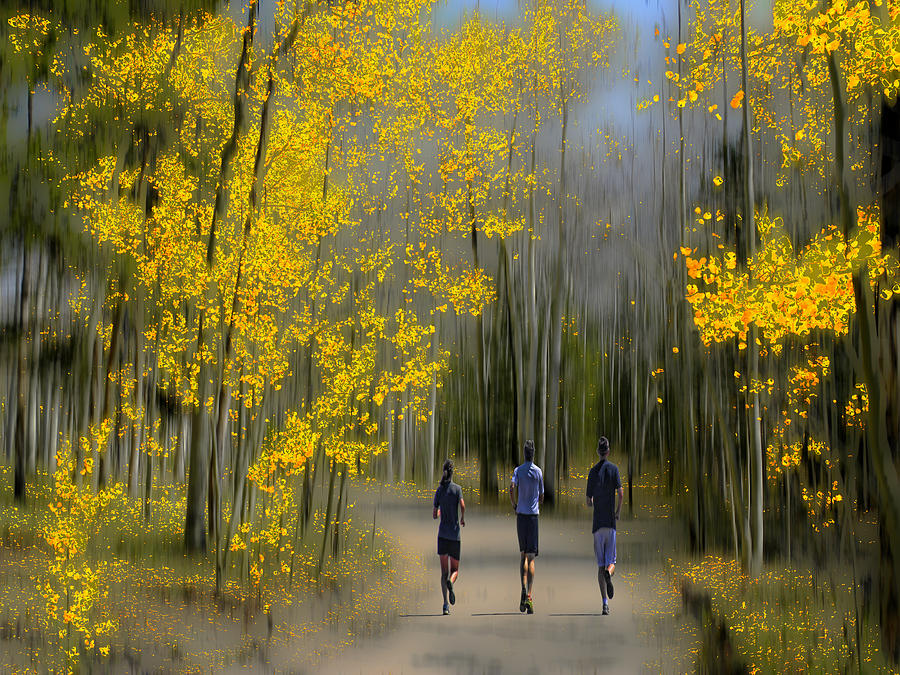 3067 Photograph by Peter Holme III