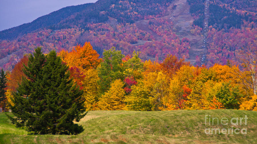 Classic Vermont Foliage. #13 Photograph by New England Photography
