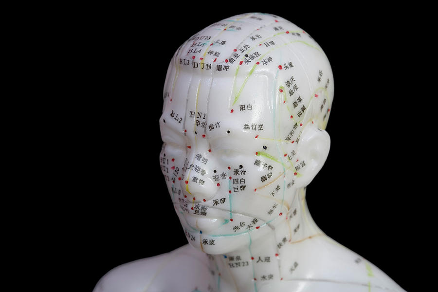 Human Model Showing Acupuncture Points Photograph by Science Stock ...