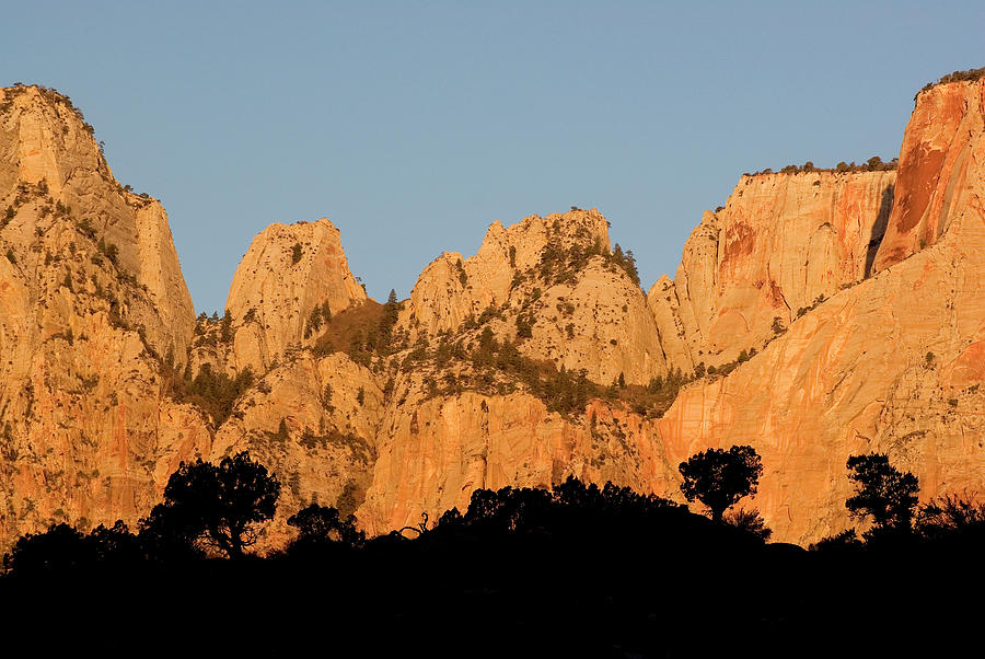 Zion National Park Photograph - USA, Utah, Zion National Park #31 by Jaynes Gallery