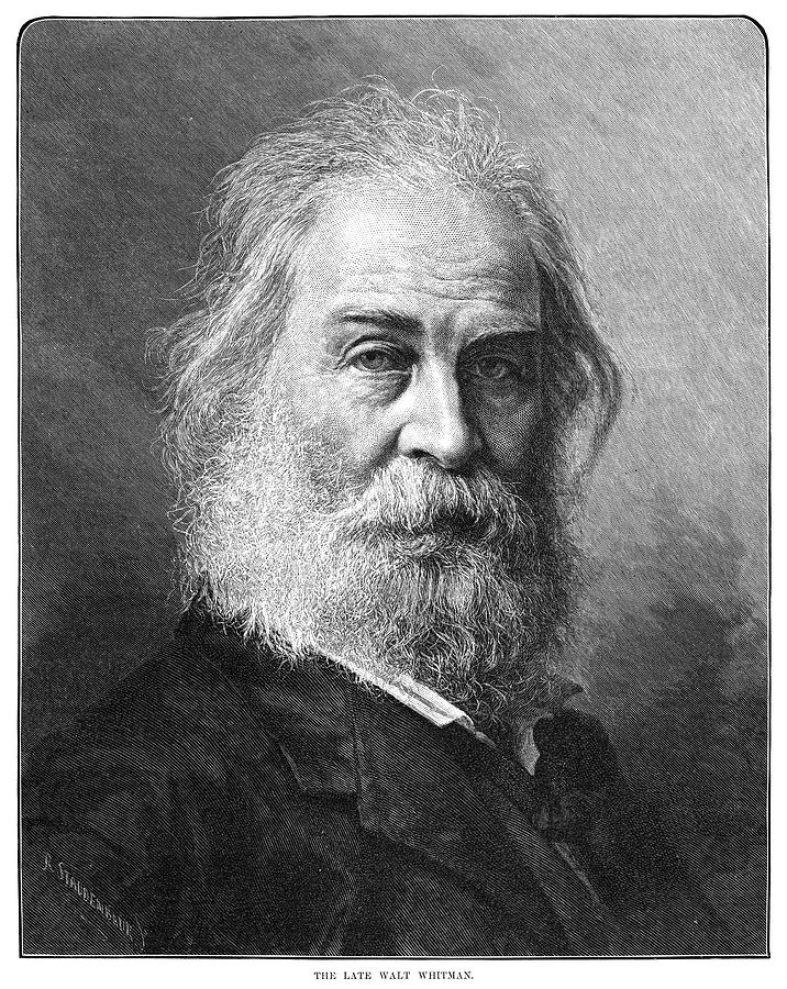 Walt Whitman (1819-1892) Painting by Granger