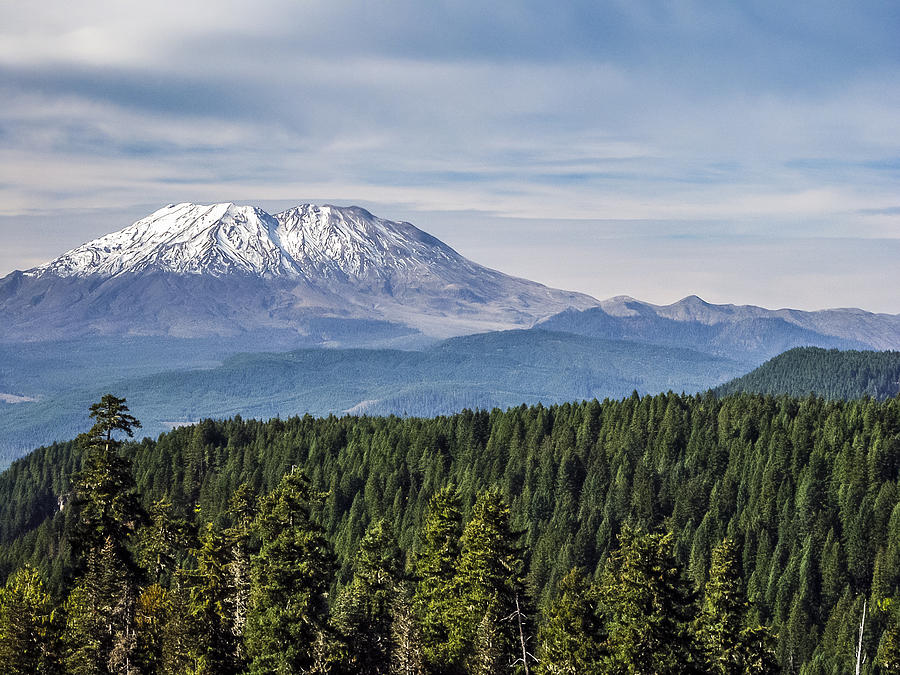 Mount St Helens from the Indian Heaven Wilderness Photograph by Albert Seger
