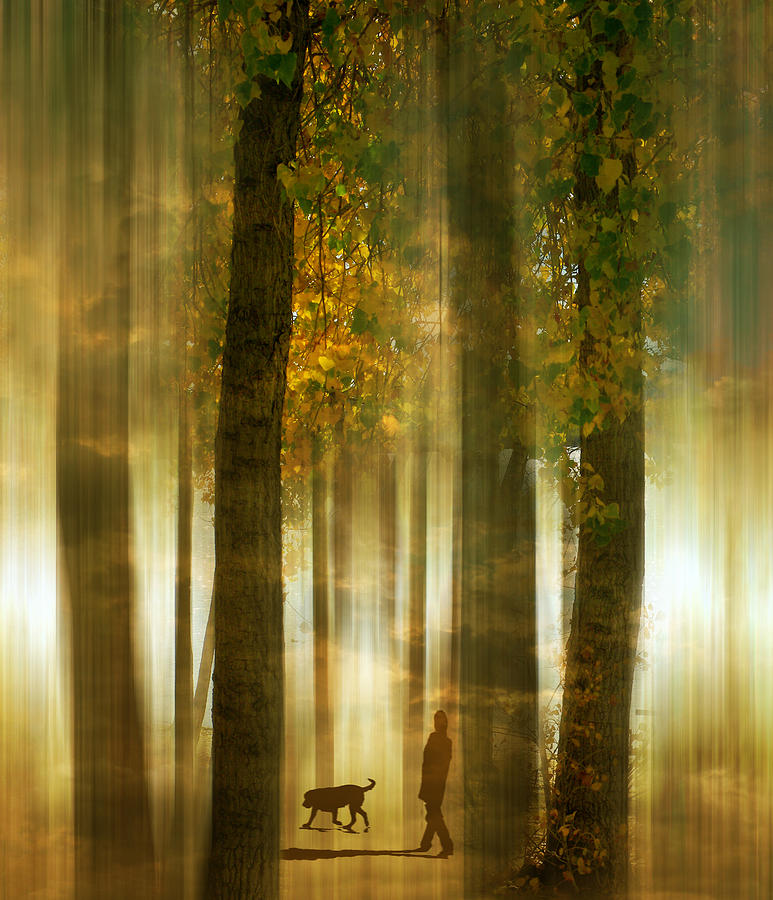 3108 Photograph by Peter Holme III