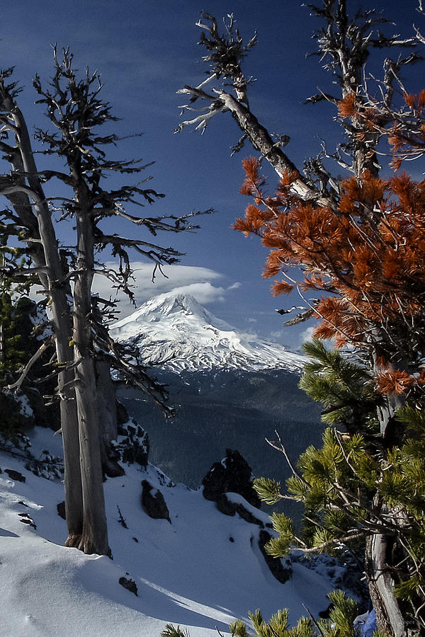 Mt Hood from Lookout Mtn Photograph by Albert Seger