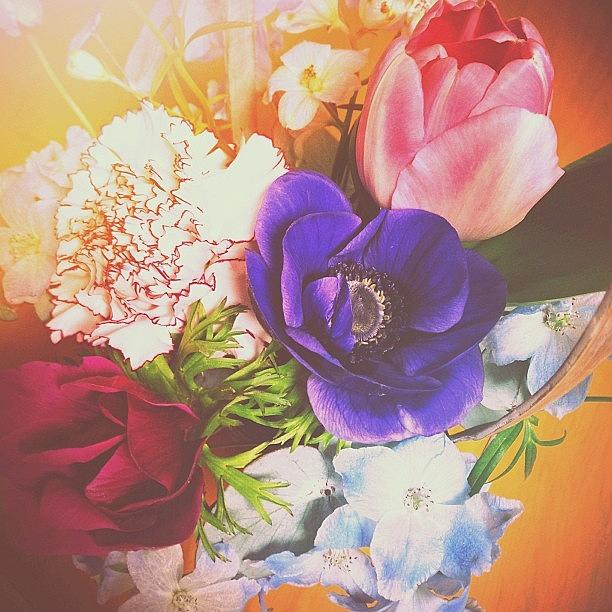 Flower Photograph - Instagram Photo #311361691323 by Ayami Nakamura