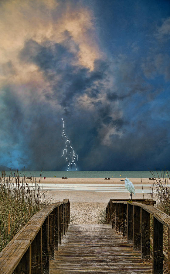 3184 Photograph by Peter Holme III
