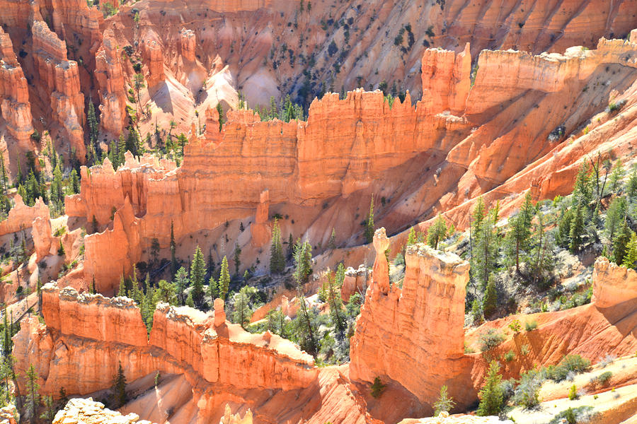 Bryce Canyon #20 Photograph by Ray Mathis