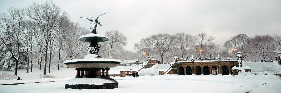 Central Park winter #32 Photograph by Songquan Deng
