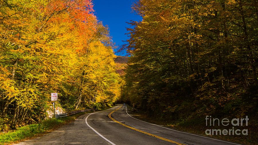 Classic Vermont Foliage. #6 Photograph by New England Photography