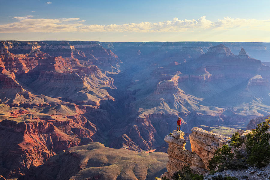 Grand Canyon National Park #32 Photograph by Michele Falzone