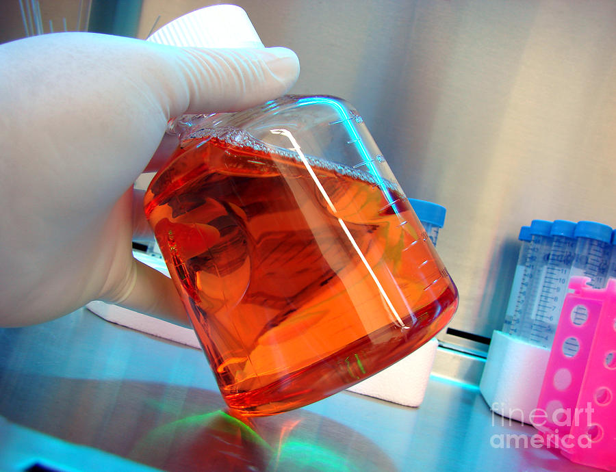 Bottle Photograph - Laboratory Equipment in Science Research Lab #32 by Science Research Lab