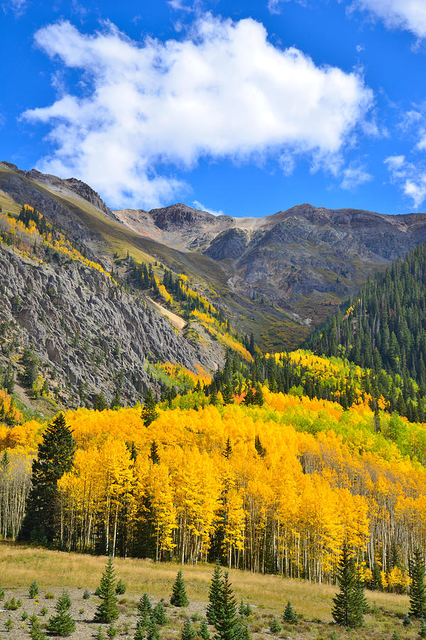 Red Mountain Pass Fall Colors #36 Photograph by Ray Mathis