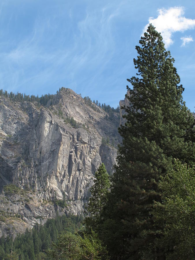 Yosemite National Park #32 Photograph by Helaine Cummins