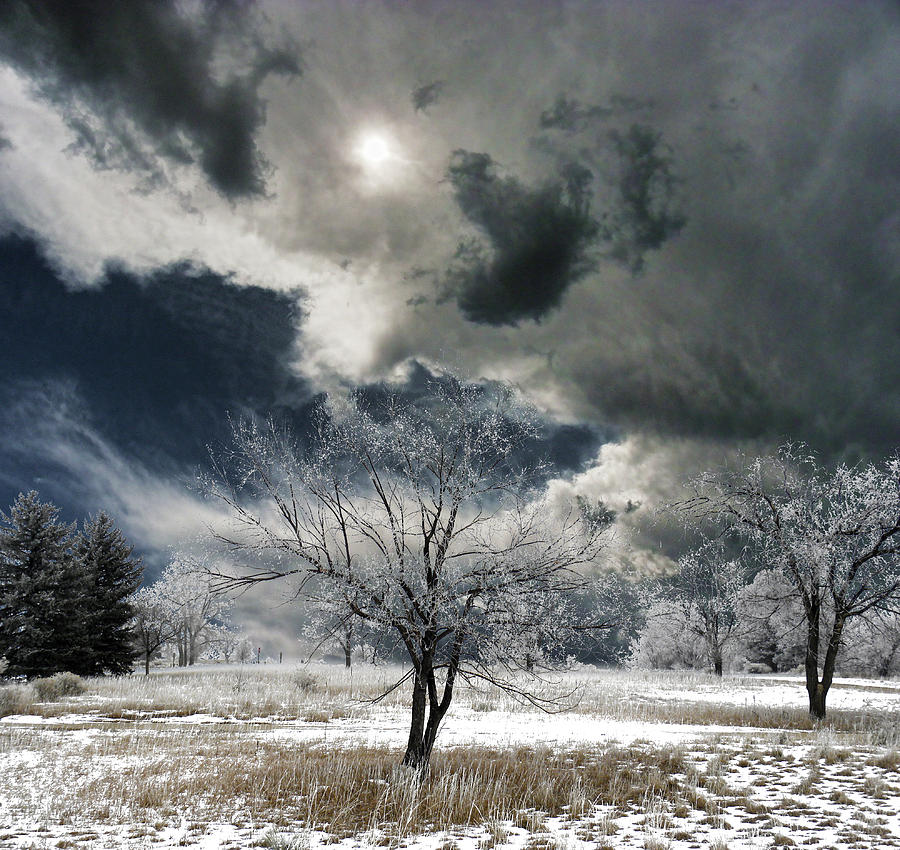 3299 Photograph by Peter Holme III