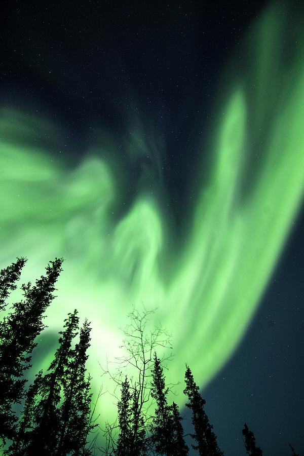 Aurora Borealis In Alaska #33 Photograph by Chris Madeley
