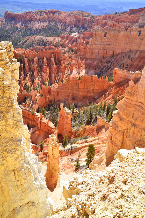 Bryce Canyon #34 Photograph by Ray Mathis