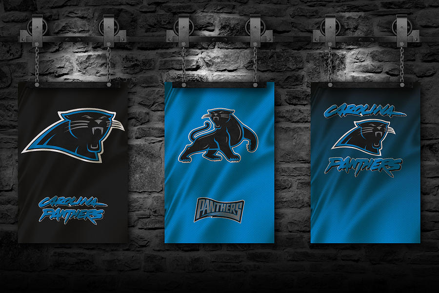 Carolina Panthers Team Flag Photograph by Joe Hamilton - Pixels