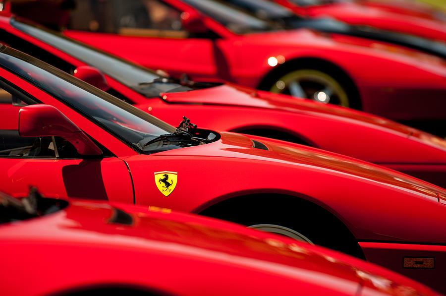 Ferrari Emblem #33 Photograph by Jill Reger