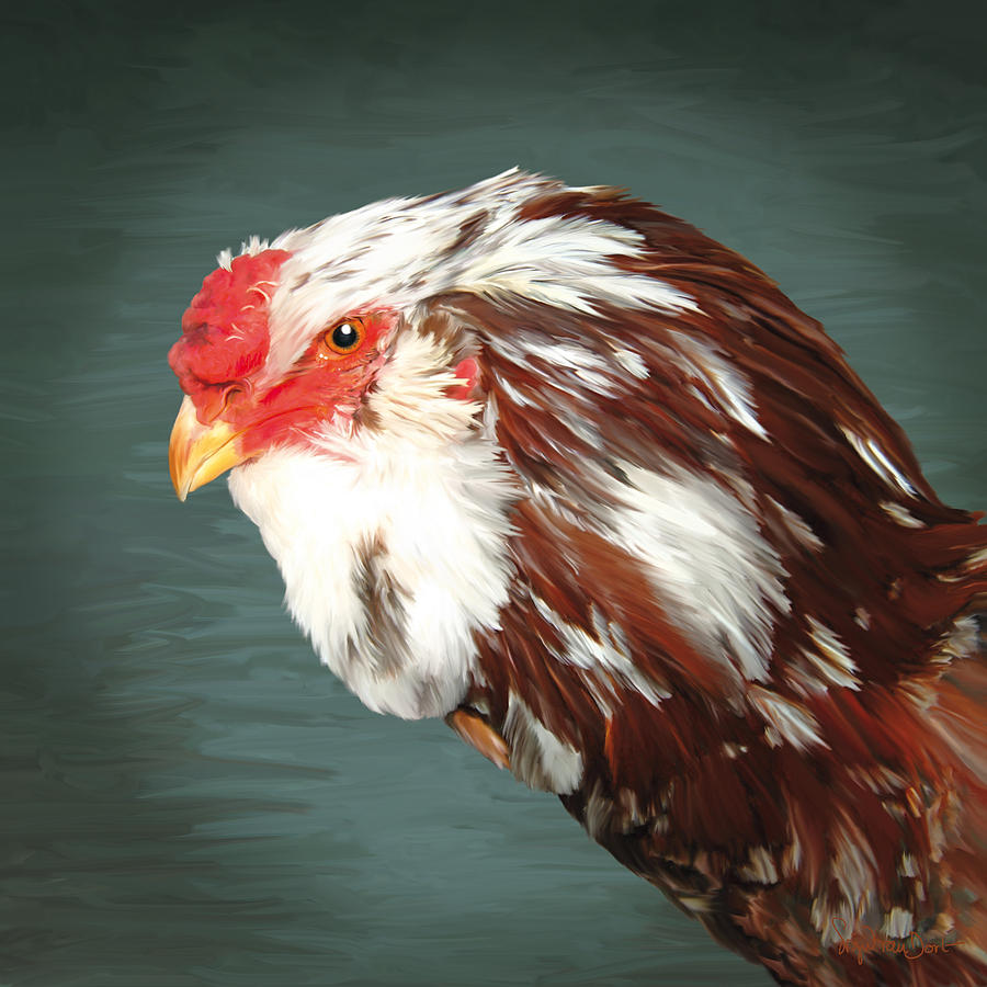 Chicken Digital Art - 33. Orlov head by Sigrid Van Dort Chicken Digital Art - 33. Orlov head by Sigrid Van Dort