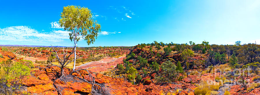 Palm Valley Central Australia #32 Photograph by Bill  Robinson