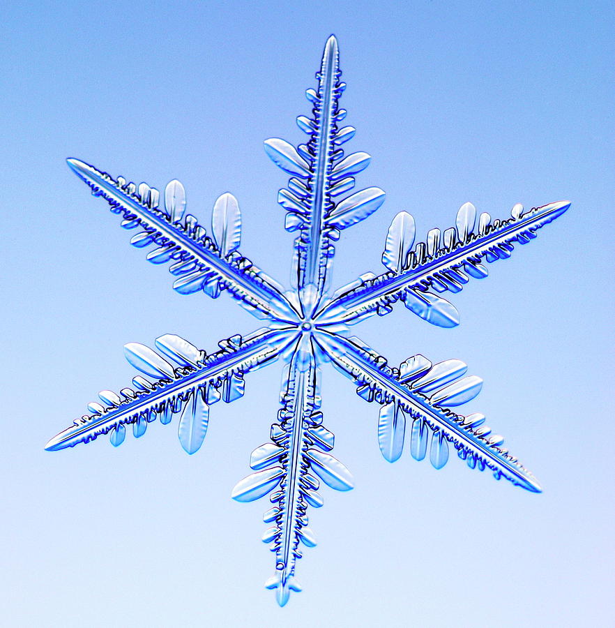 Snowflake #33 Photograph by Kenneth Libbrecht/science Photo Library