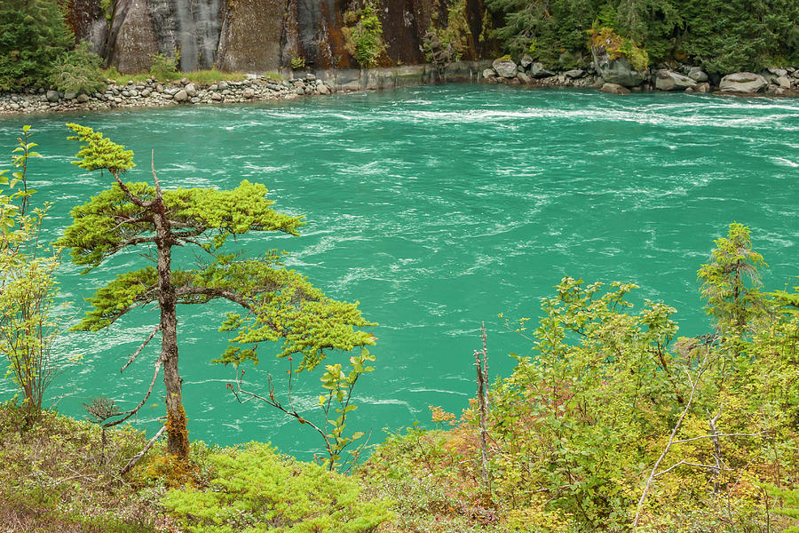 USA, Alaska, Tongass National Forest Photograph By Jaynes Gallery - Pixels