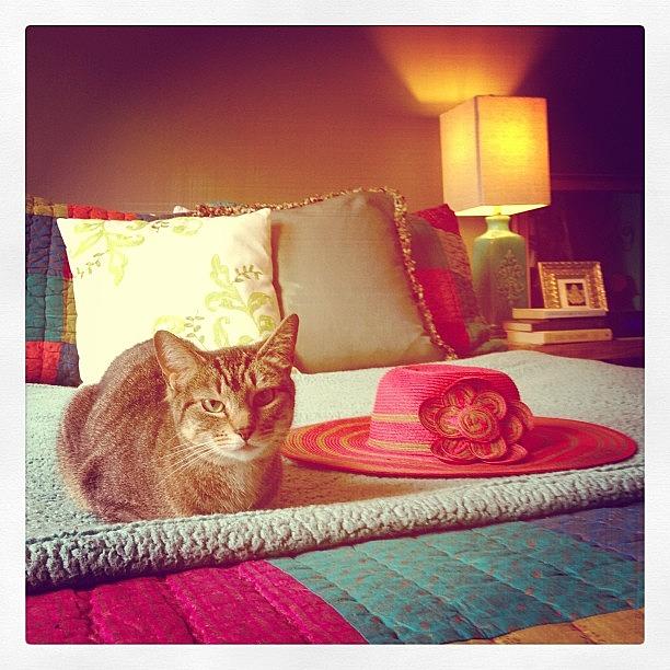 Instagram Photo Photograph by Erica Lubee Instagram Photo Photograph by Erica Lubee