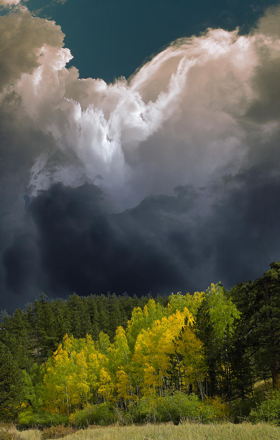 3372 Photograph by Peter Holme III