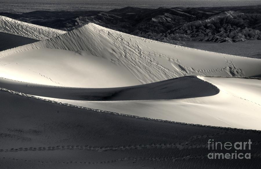 Death Valley #34 Photograph by Marc Bittan