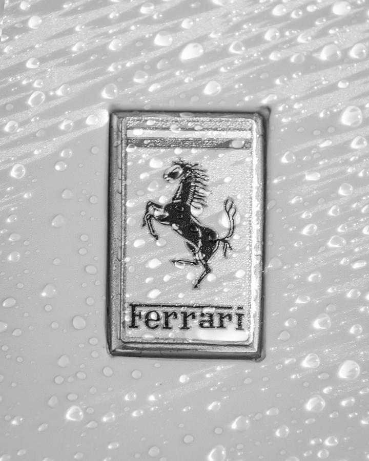 Ferrari Emblem #34 Photograph by Jill Reger