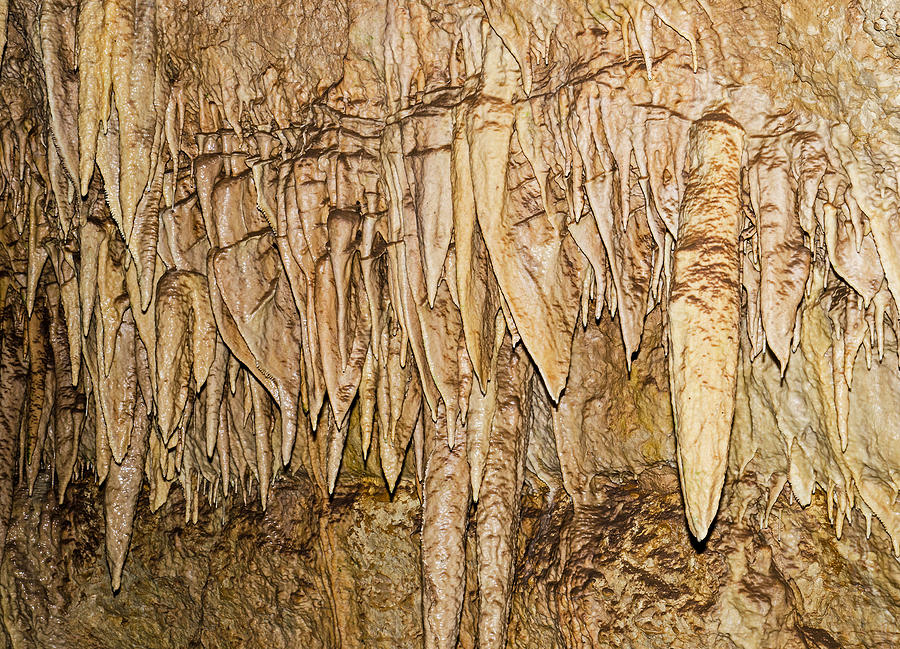 Natural Bridge Caverns, San Antonio, Tx #34 Photograph by Millard H. Sharp