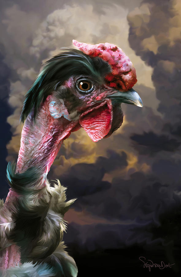 Chicken Digital Art - 34. Turken by Sigrid Van Dort Chicken Digital Art - 34. Turken by Sigrid Van Dort
