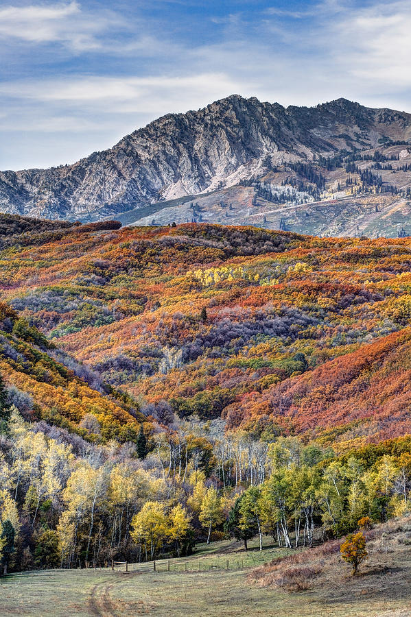 Wasatch Mountains Utah #34 Photograph by Douglas Pulsipher