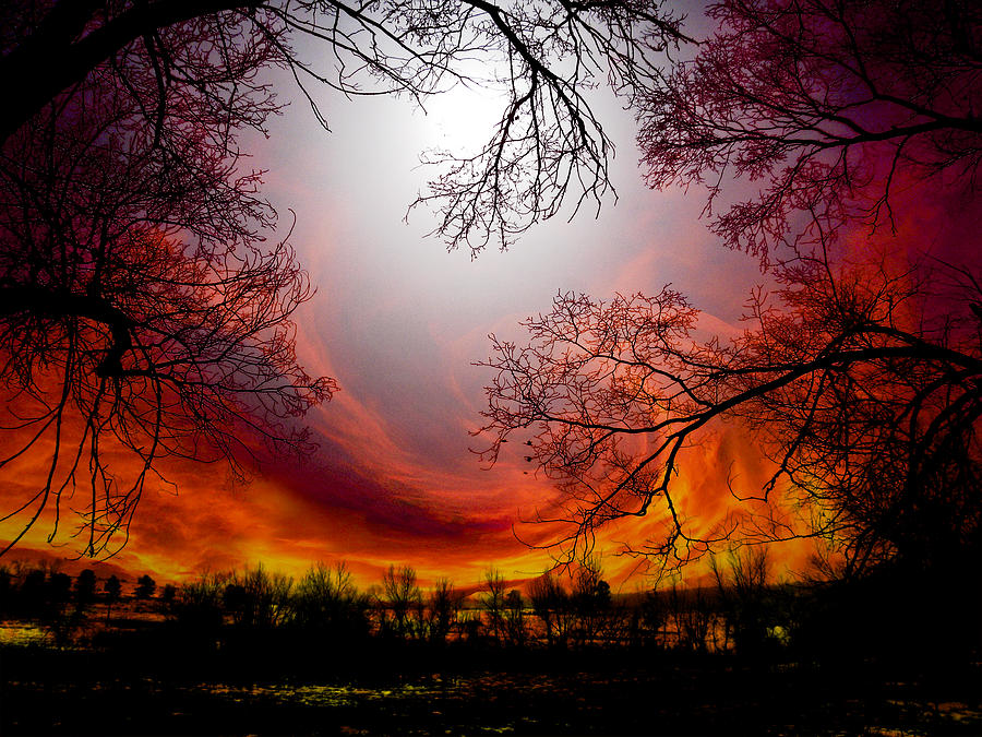 3425 Photograph by Peter Holme III
