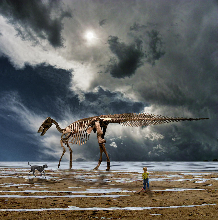 3433 Photograph by Peter Holme III