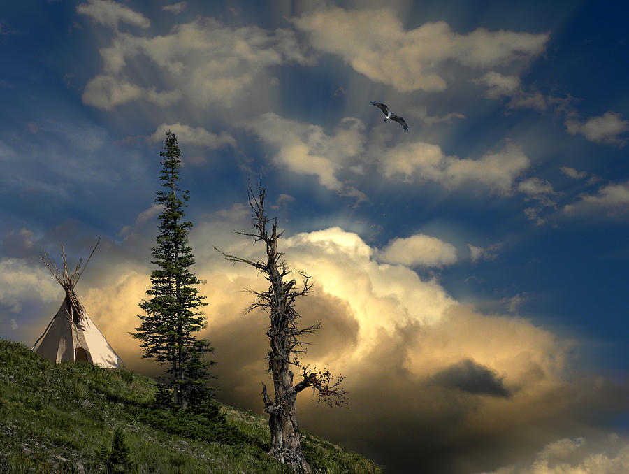 3449 Photograph by Peter Holme III