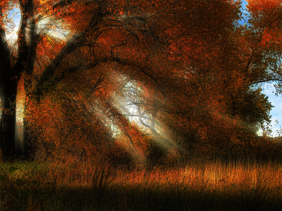 3472 Photograph by Peter Holme III