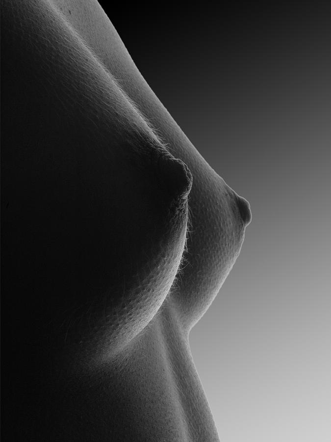 3485 Beautiful Small Breasts Black White Artwork  Photograph by Chris Maher