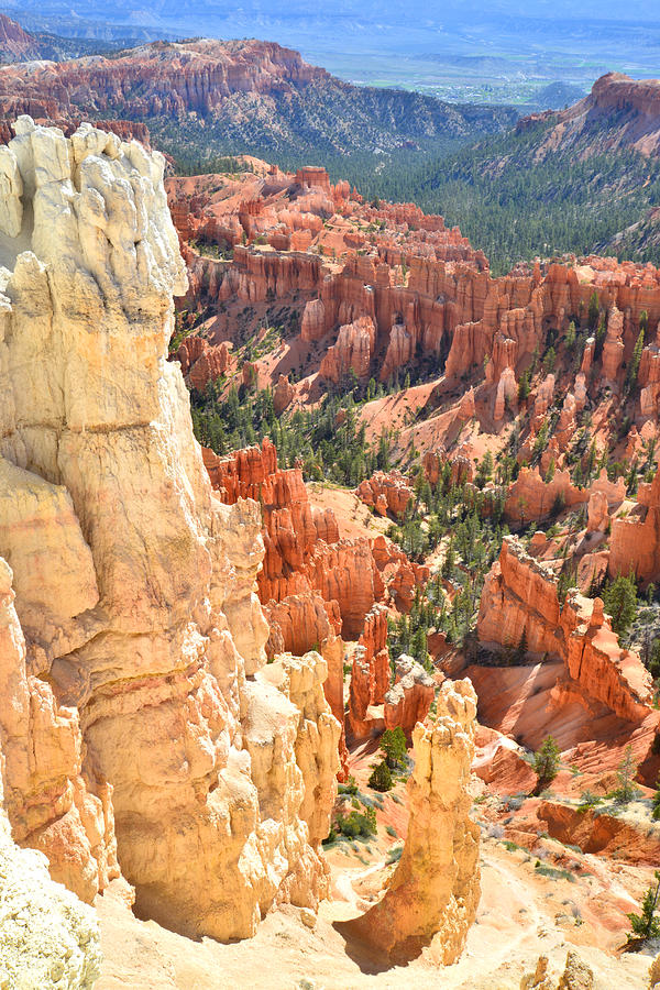 Bryce Canyon National Park Photograph - Bryce Canyon #36 by Ray Mathis