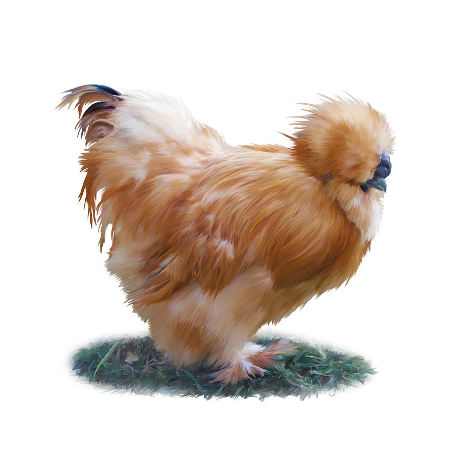 Chicken Digital Art - 35. Buff Bren by Sigrid Van Dort Chicken Digital Art - 35. Buff Bren by Sigrid Van Dort