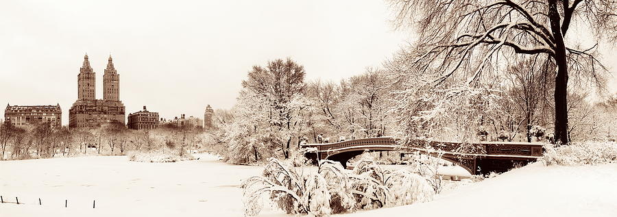 Central Park winter #35 Photograph by Songquan Deng