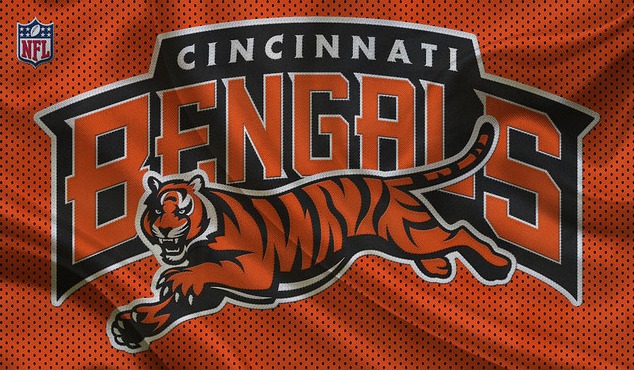 Cincinnati Bengals Photograph By Joe Hamilton - Fine Art America