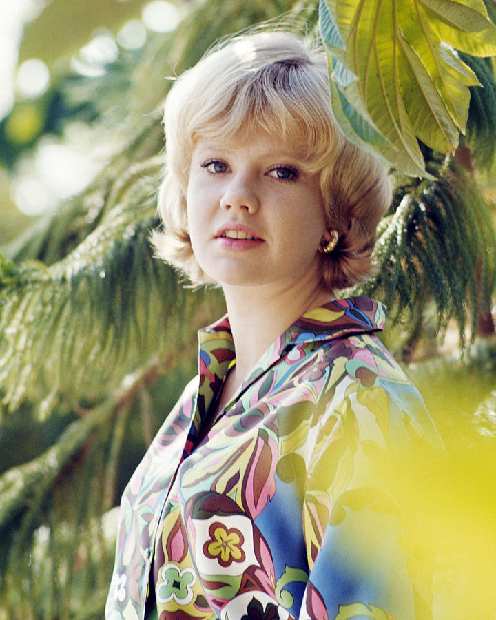 Hayley Mills #35 Photograph by Silver Screen - Pixels