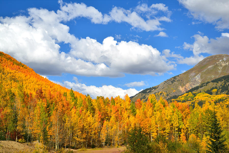 Red Mountain Pass Fall Colors Photograph