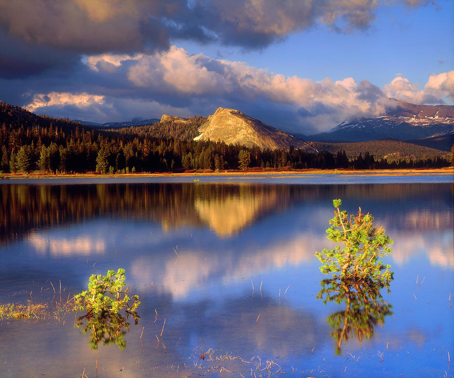 Nature Photograph - USA, California, Yosemite National Park #35 by Jaynes Gallery