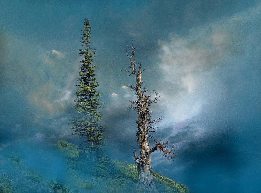 3501 Photograph by Peter Holme III