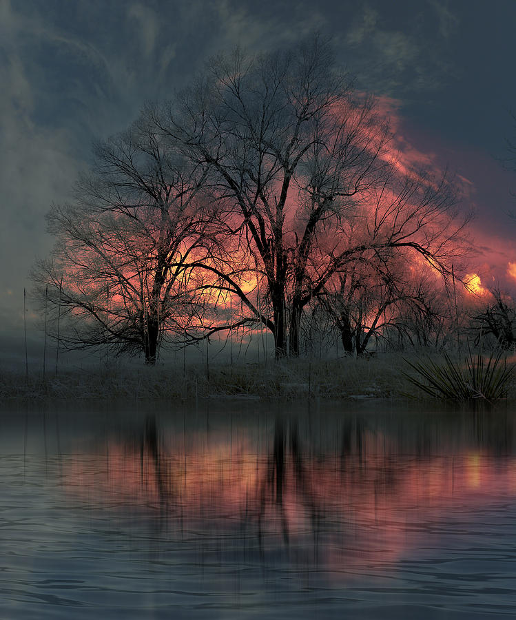 3511 Photograph by Peter Holme III